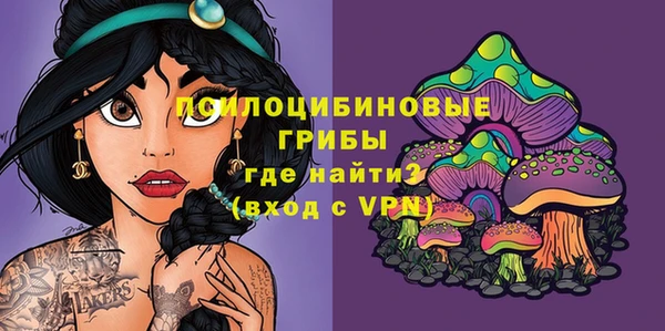 дмт Армянск